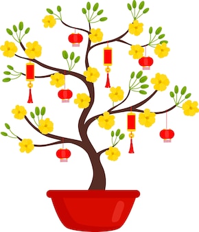 Vietnam yellow blossom apricot tree ochna integerrima with hanging lucky envelope for tet holiday