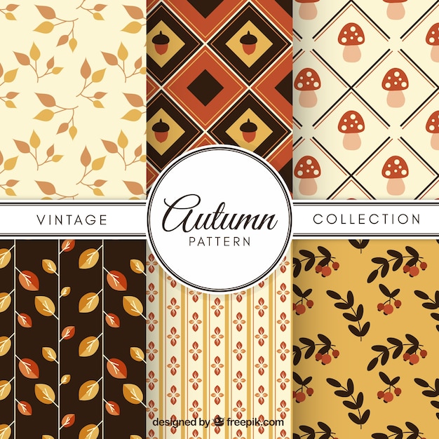 Vintage autumn pattern