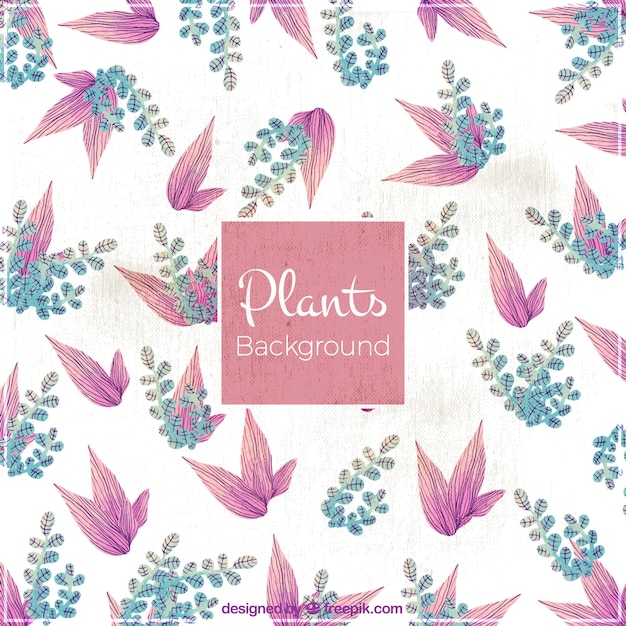 Vintage background of beautiful plants