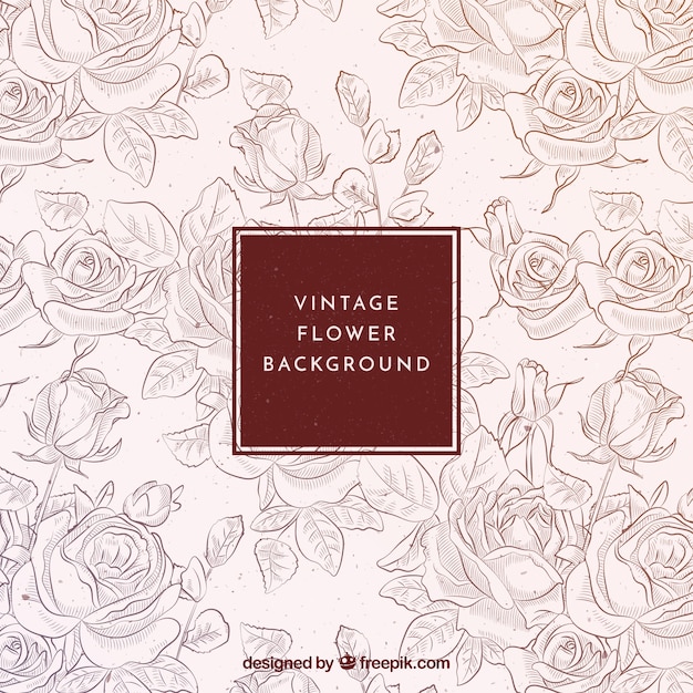 Free vector vintage background of hand drawn roses