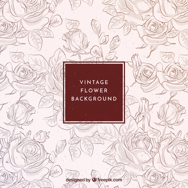 Vintage background of hand drawn roses