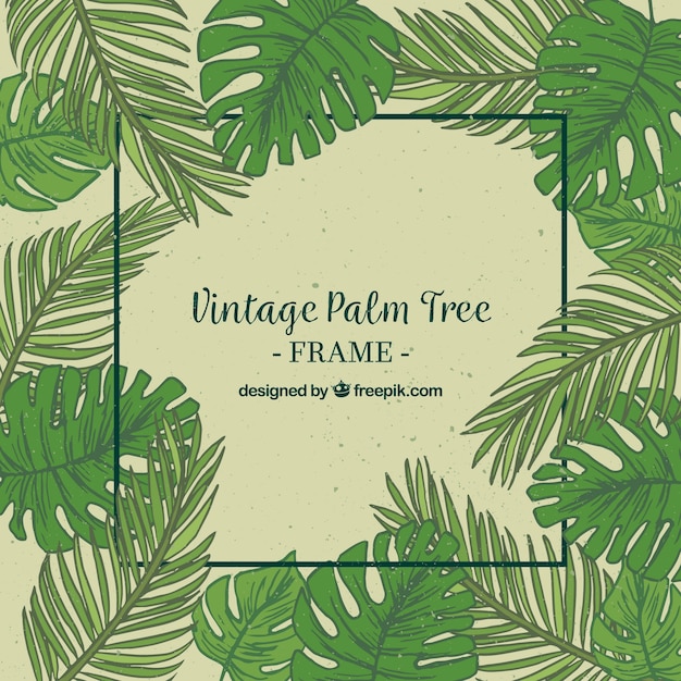 Vintage background of palm leaf hand drawn