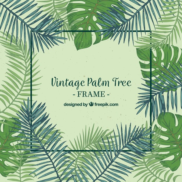 Vintage background with frame and hand drawn palm leaf 
