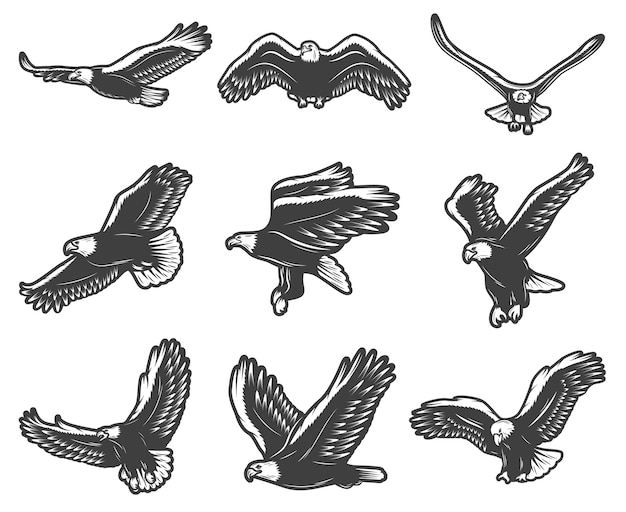 Free vector vintage beautiful flying eagles set