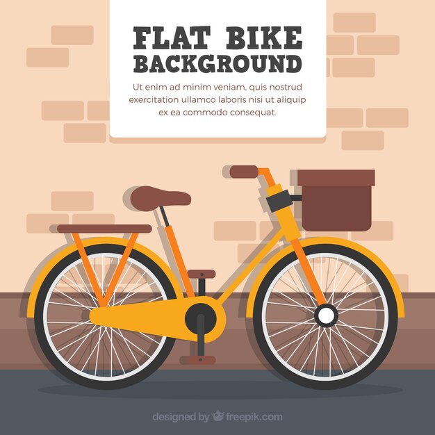 Vintage bicycle with flat design