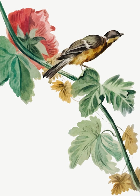 Free vector vintage bird on flower branch illustration