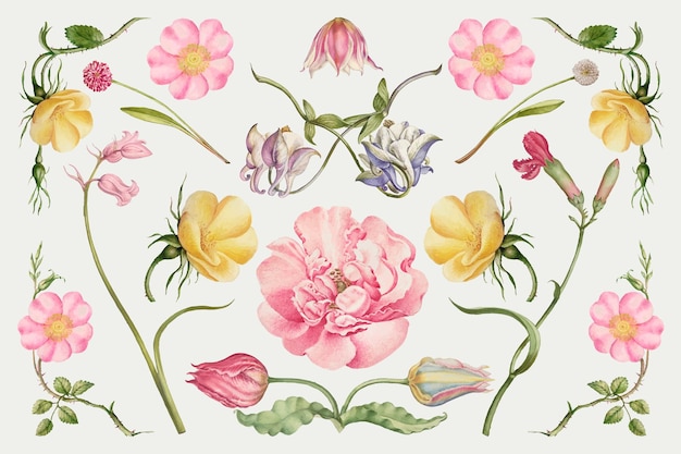 Набор старинных цветущих цветочных иллюстраций