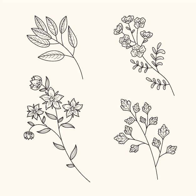 Vintage botanic herbs and flowers