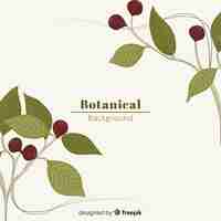 Free vector vintage botanical background