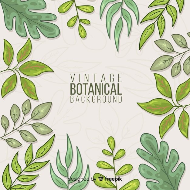 Vintage botanical background