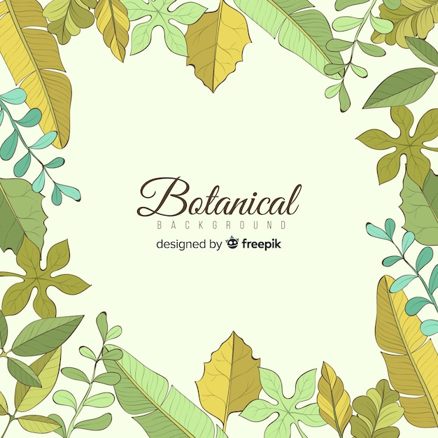 Vintage botanical background