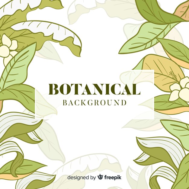 Vintage botanical background