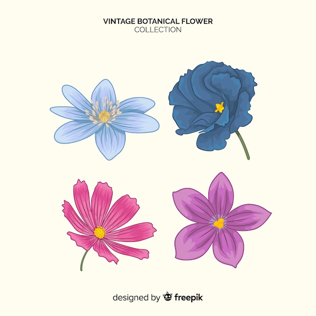 Vettore gratuito collezione vintage di fiori botanici