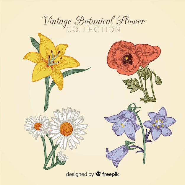 Vintage botanical flower collection