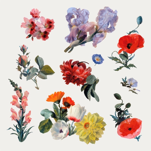Vintage botanical flower vector set painting, remixed from artworks by Jacques-Laurent Agasse