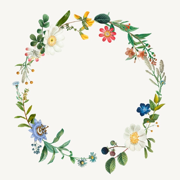Vintage botanical frame wreath illustration