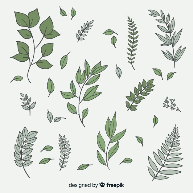 Vintage botanical leaf collection