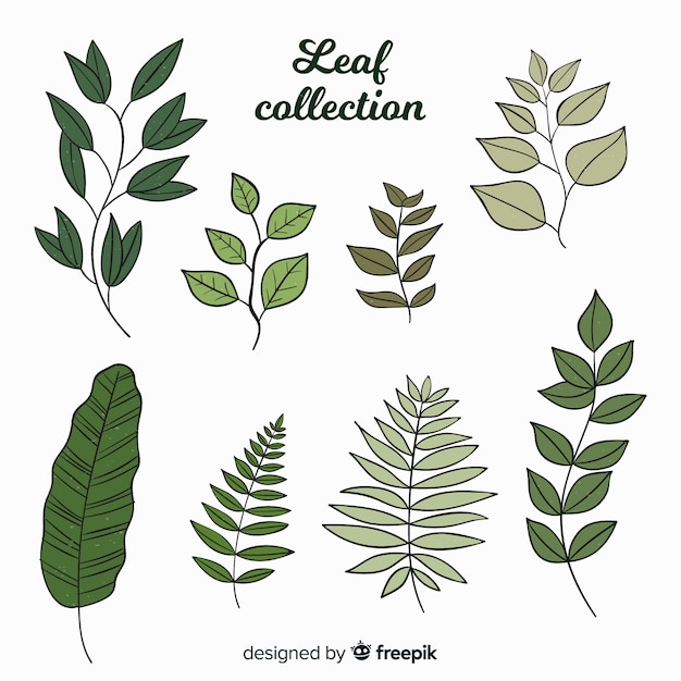 무료 벡터 빈티지 식물 잎 컬렉션