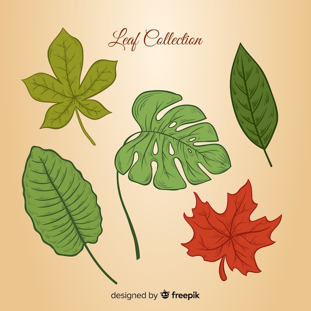 Free vector vintage botanical leaf collection