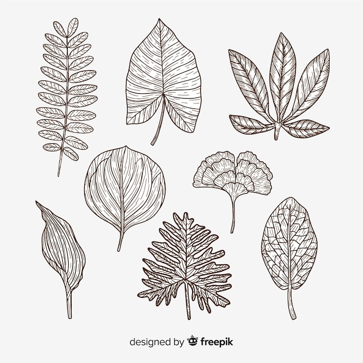 Free Vector vintage botanical leaf collection