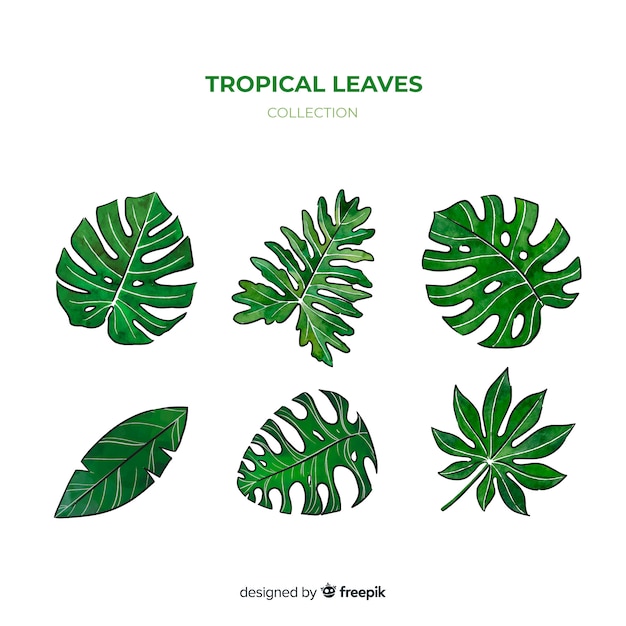 Free vector vintage botanical leaf collection