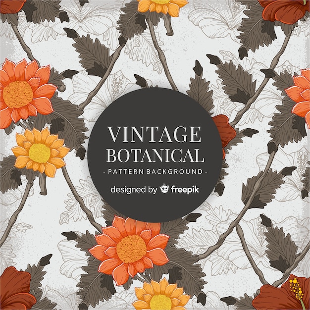 Vettore gratuito modello botanico vintage
