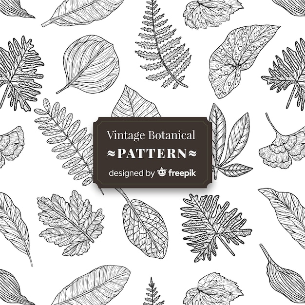 Vintage botanical pattern