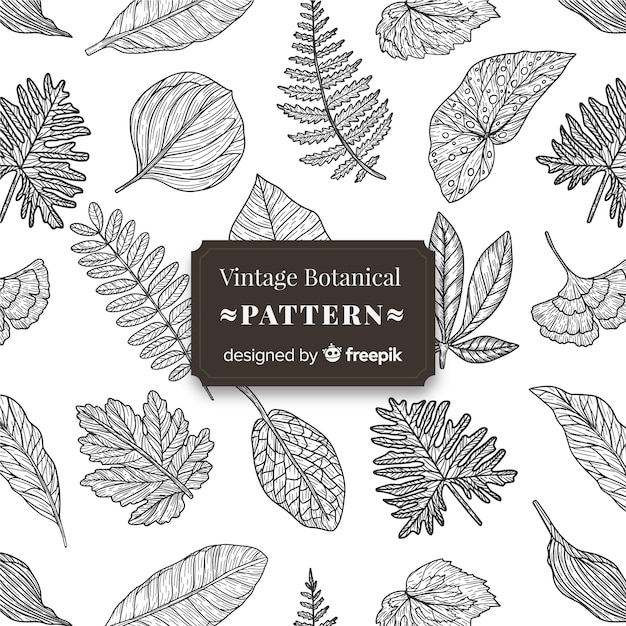 빈티지 식물 패턴