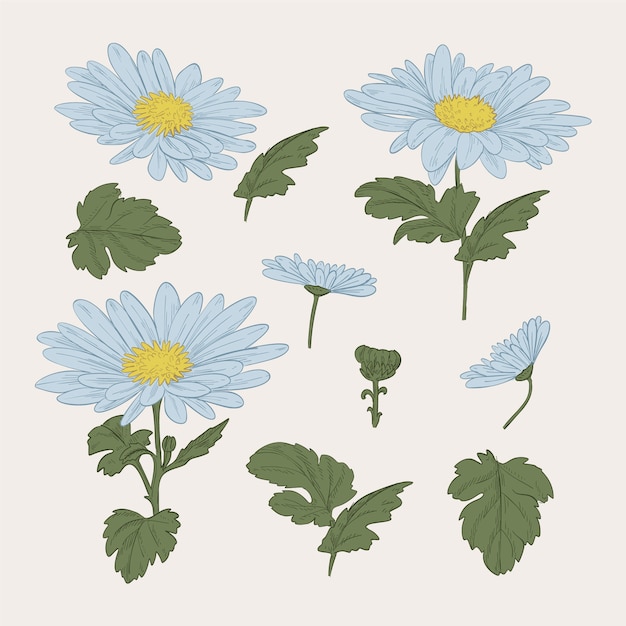 Vettore gratuito collezione di fiori blu botanica vintage