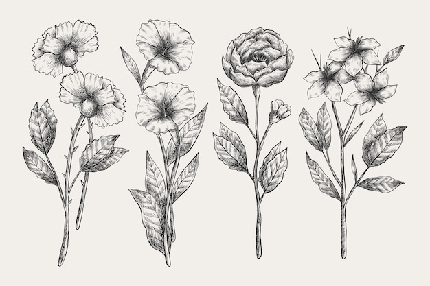 Vintage botany flower collection