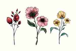 Бесплатное векторное изображение Коллекция старинных ботанических цветов