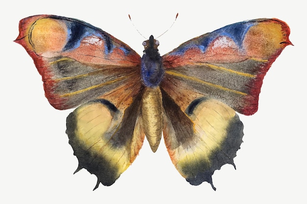Винтажный вектор коллажа бабочки, ремикс с работы Мари-Бланш Хеннель Фурнье.