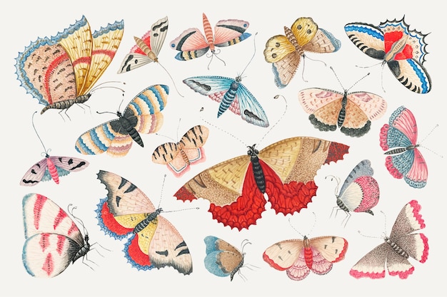 Vintage butterfly and moth watercolor illustration  set, remixed from the 18th-century artworks from the Smithsonian archive.