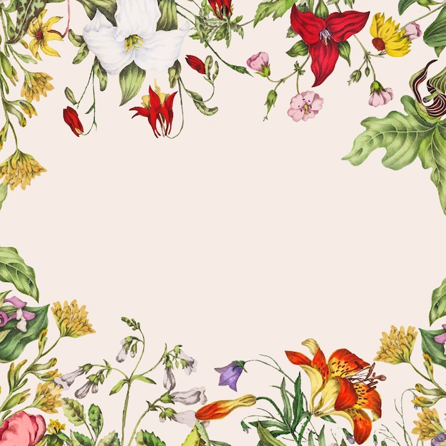 Vintage Canadian wild flowers frame vector