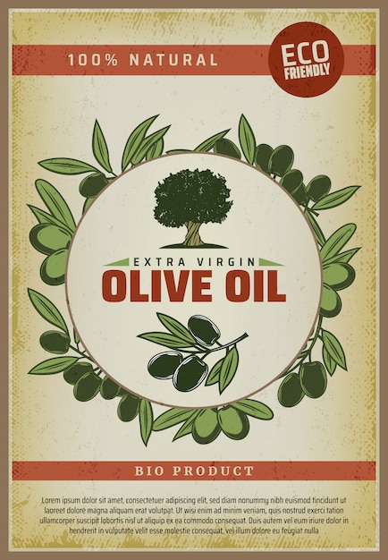 Vintage colored organic natural food poster with inscriptions olive tree and branches