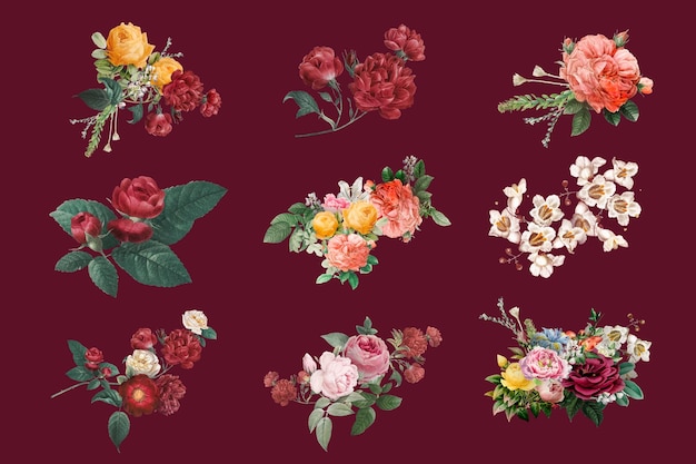 Винтаж красочные весенние розы вектор рисованной иллюстрации набор