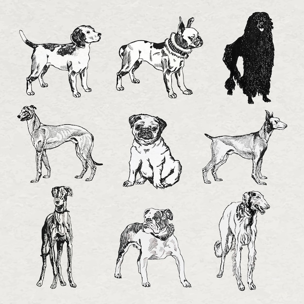 Vintage dog stickers vector in black and white illustrations set, remixed from artworks by Moriz Jung