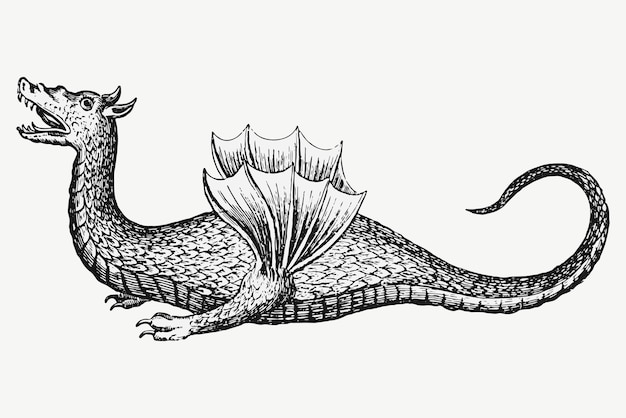 Vintage dragon illustration vector, remixed from artwork by Athanasius Kircher.