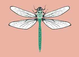 Free vector vintage dragonfly insect stencil pattern