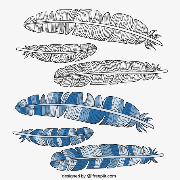 Free vector vintage feather set