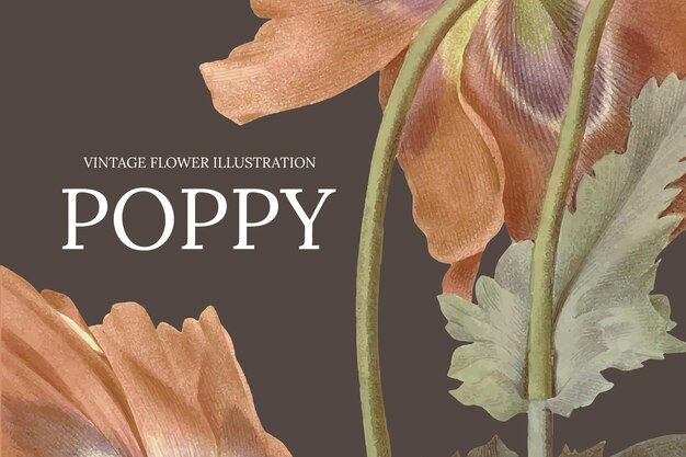 Vintage floral banner template with poppy background, remixed from public domain artworks