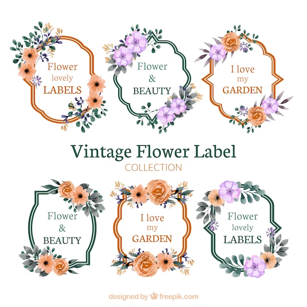 Бесплатное векторное изображение Винтажная коллекция цветочных этикеток