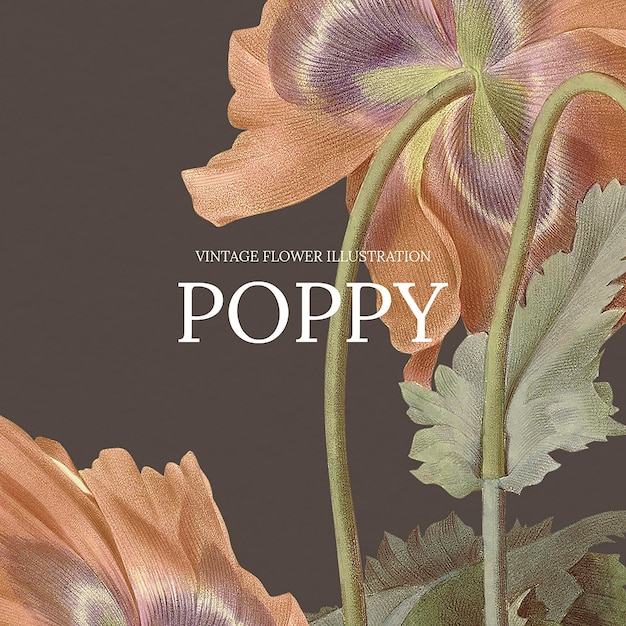 Free vector vintage floral template  with poppy background, remixed from public domain artworks