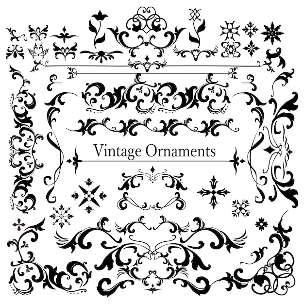 Vintage flourish ornament frame vector