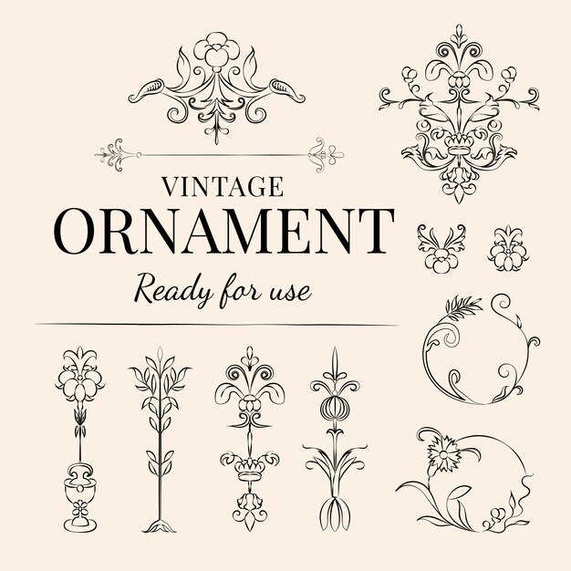 Vintage flourish ornament illustration