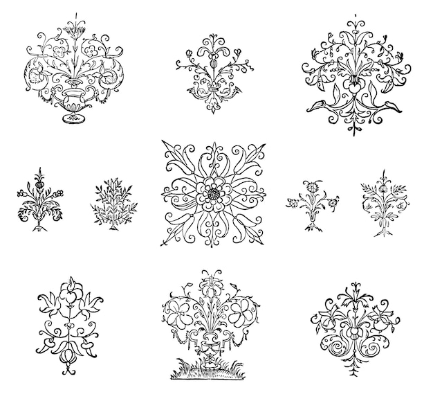 Vintage flourish ornament illustration