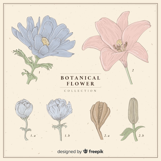 Free vector vintage flower collection