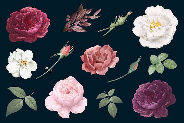 Free vector vintage flower drawings