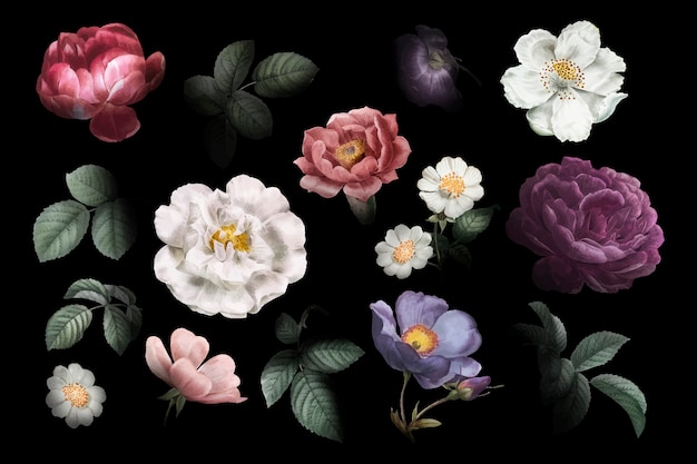 Vintage flower drawings