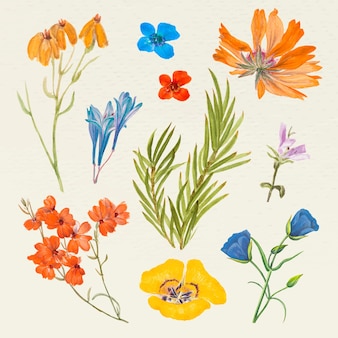 Set di illustrazioni floreali vintage, remixate da opere d'arte di pubblico dominio